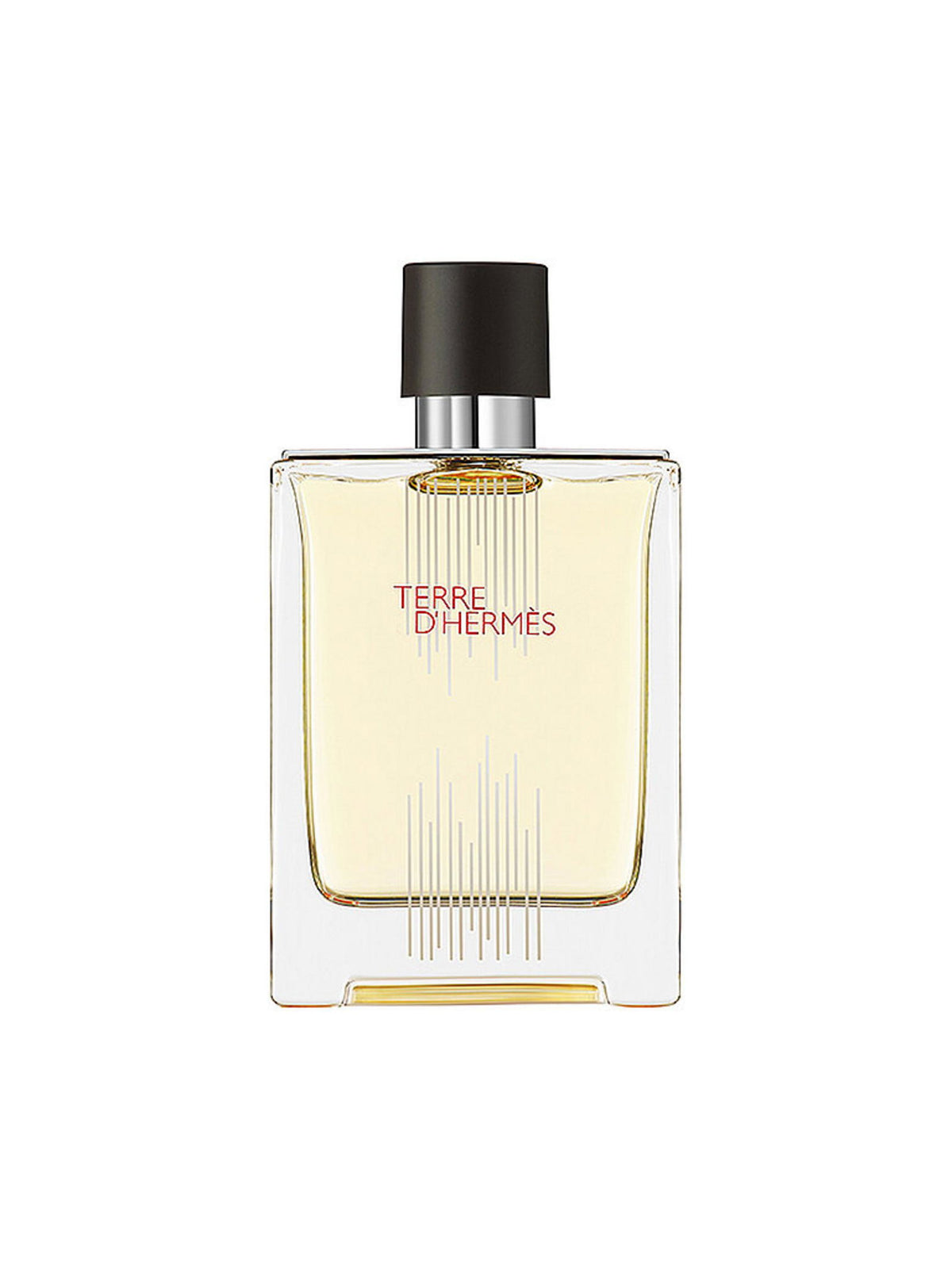 Hermès Terre d’Hermès Flacon H ierobežotā izdevuma tualetes ūdens vīriešiem, 100 ml