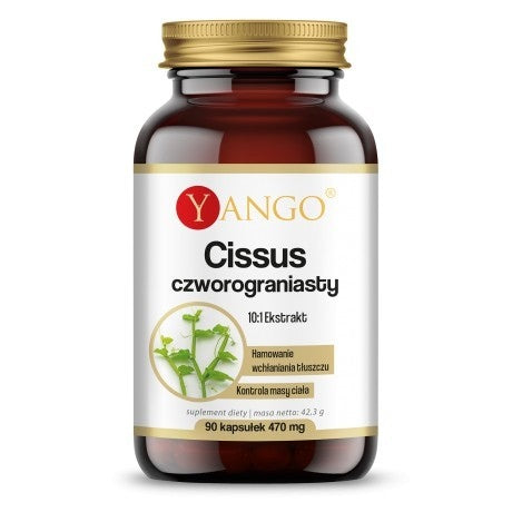 YANGO Cissus Czworograniasty - ekstrakt 10:1 (90 kaps.)