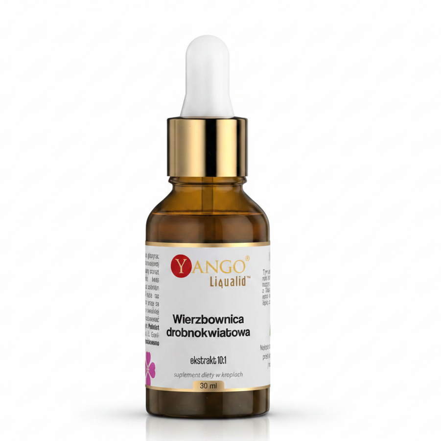 YANGO Wierzbownica drobnokwiatowa - ekstrakt 10:1 (30 ml)