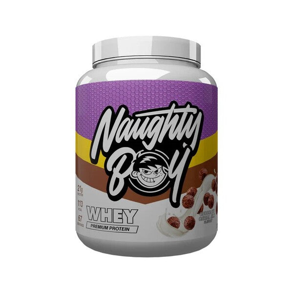 Naughty Boy Advanced Whey šokolādes cepumi ar pienu — 2010 g