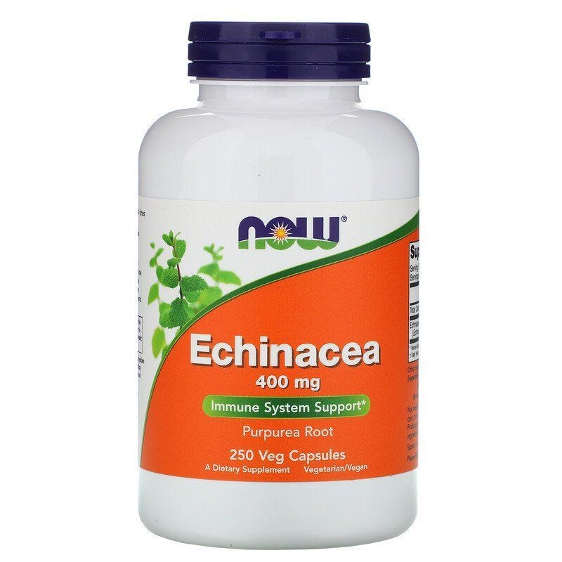 NOW FOODS ehinācija 400 mg – 250 kapsulas
